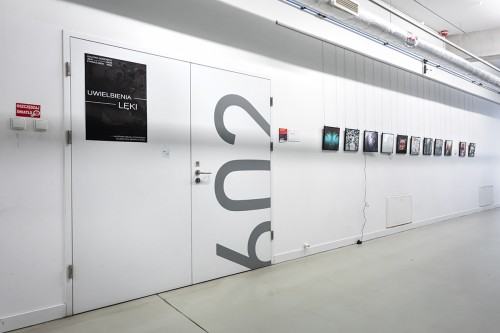 fot. Michał Pietrzak