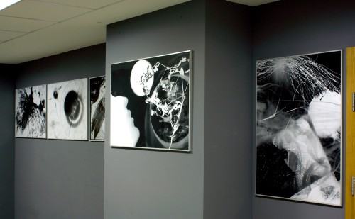 Nowa wystawa pracowni fotomediów w Zaułku Kaćmy. Nowa wystawa pracowni fotomediów w Zaułku Kaćmy.