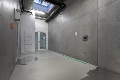 fot. Michał Pietrzak