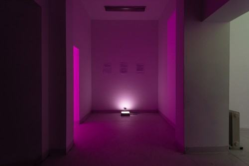 fot. Michał Pietrzak