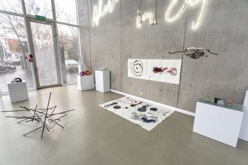 fot. Michał Pietrzak