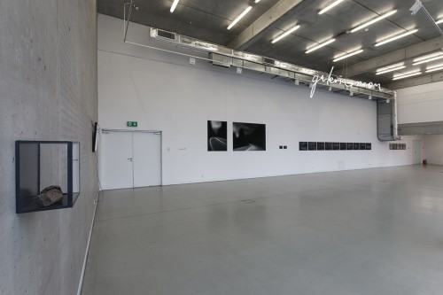 fot. Michał Pietrzak