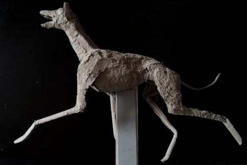 Laura Gizicka, Zwierzę