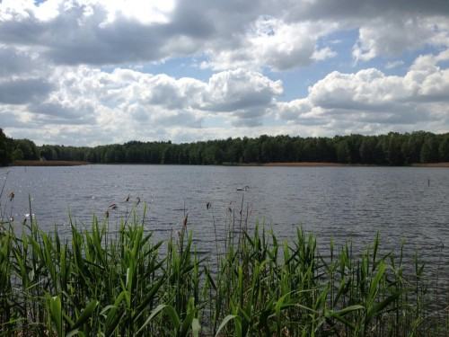 luboradow2 luboradow