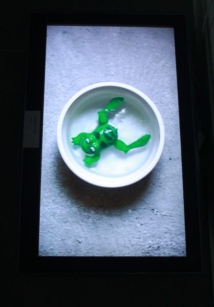 30912656.jpg fot. Aleksandra Bełz-Rajtak