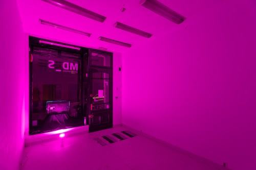 fot. Michał Pietrzak