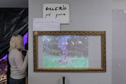 fot. Michał Pietrzak