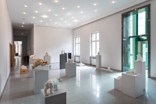 fot. Michał Pietrzak