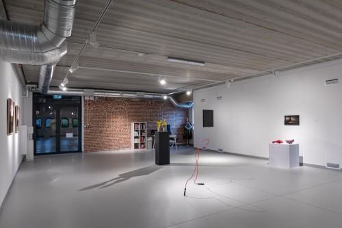 fot. Michał Pietrzak