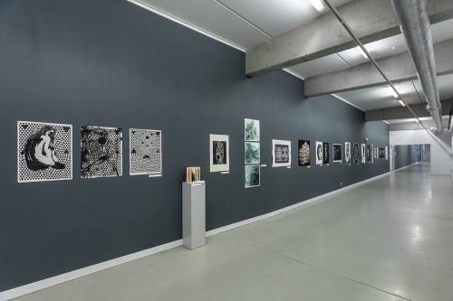 fot. Michał Pietrzak