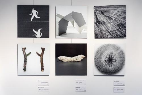 fot. Michał Pietrzak