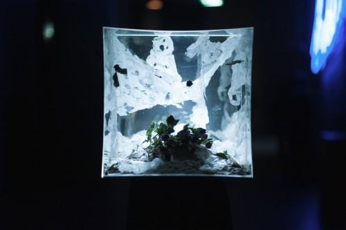 Fot. Marcin Pietrusza