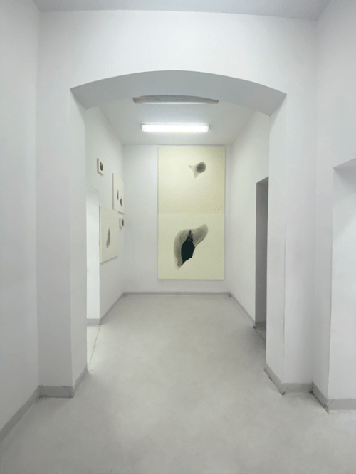 Kamila Mierzwińska, Anamneza. Próba Pamięci. promotor: prof. Łukasz Huculak