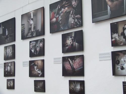 Festiwal  Gwiazd