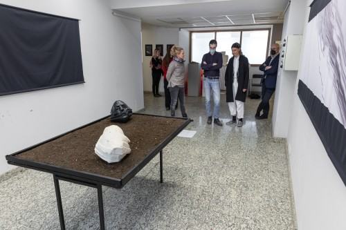 fot. Michał Pietrzak