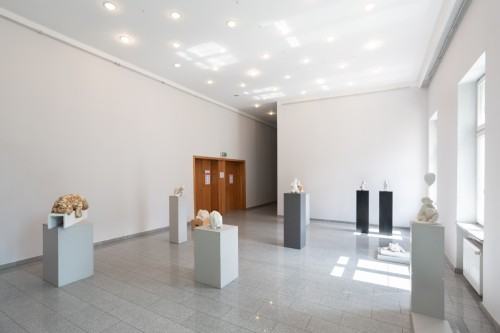 fot. Michał Pietrzak