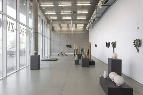 fot. Michał Pietrzak