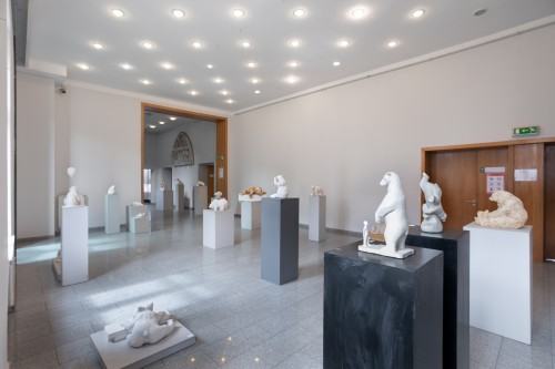 fot. Michał Pietrzak