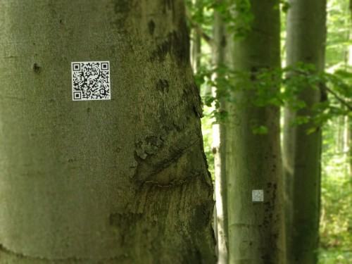 prace_Monika Aleksandrowicz, Piotr Masny, Pogłos, 2001, 2020, archiwum autorów