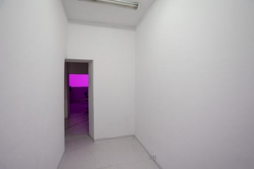 fot. Michał Pietrzak