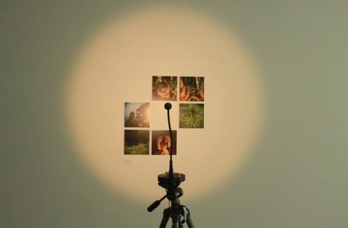 44435398.jpg fot. Aleksandra Bełz-Rajtak