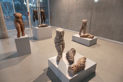 fot. Michał Pietrzak