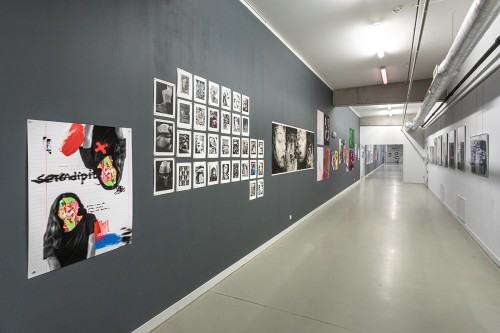 fot. Michał Pietrzak