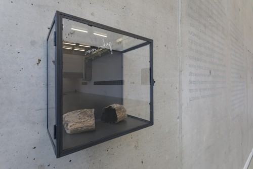 fot. Michał Pietrzak