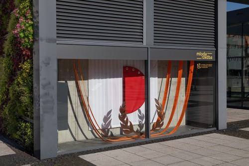 fot. Michał Pietrzak