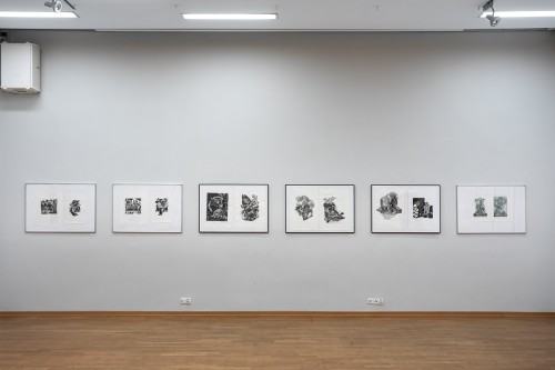 fot. Michał Pietrzak