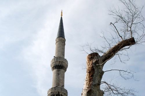 szklo bar i joszczuk