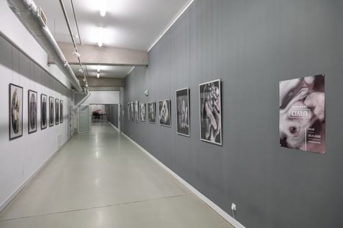 fot. Michał Pietrzak