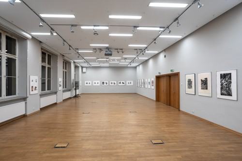 fot. Michał Pietrzak