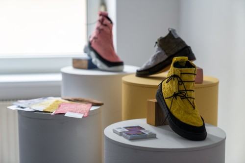 10_foto: źródło ACD, Karol Janiak