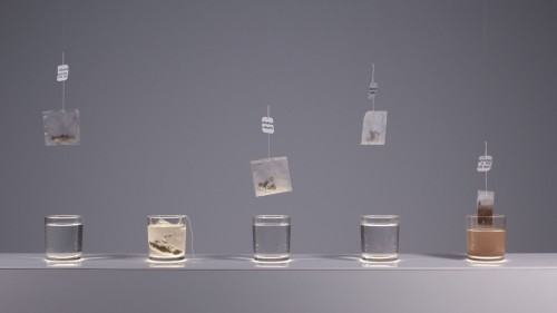 50531821.jpg Karolina Gardzilewicz