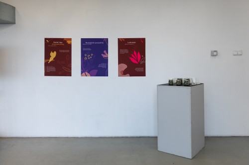 fot. Michał Pietrzak