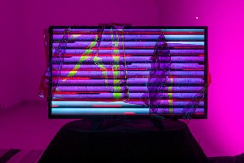 fot. Michał Pietrzak