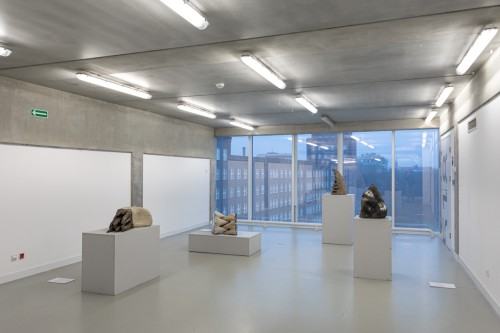 fot. Michał Pietrzak