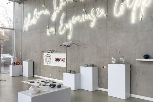 fot. Michał Pietrzak