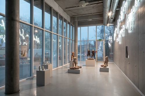 fot. Michał Pietrzak