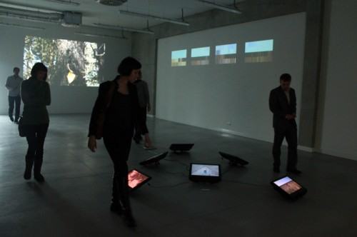 55490574.jpg fot. Aleksandra Bełz-Rajtak