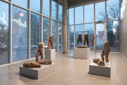 fot. Michał Pietrzak