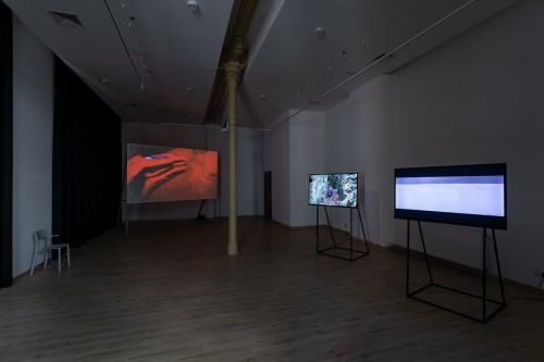 fot. Michał Pietrzak