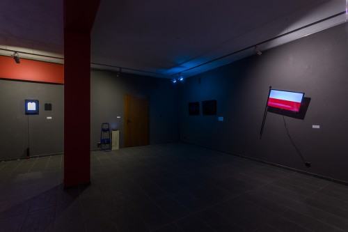 fot. Michał Pietrzak