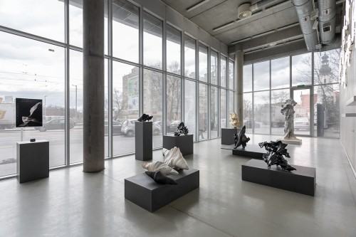 fot. Michał Pietrzak