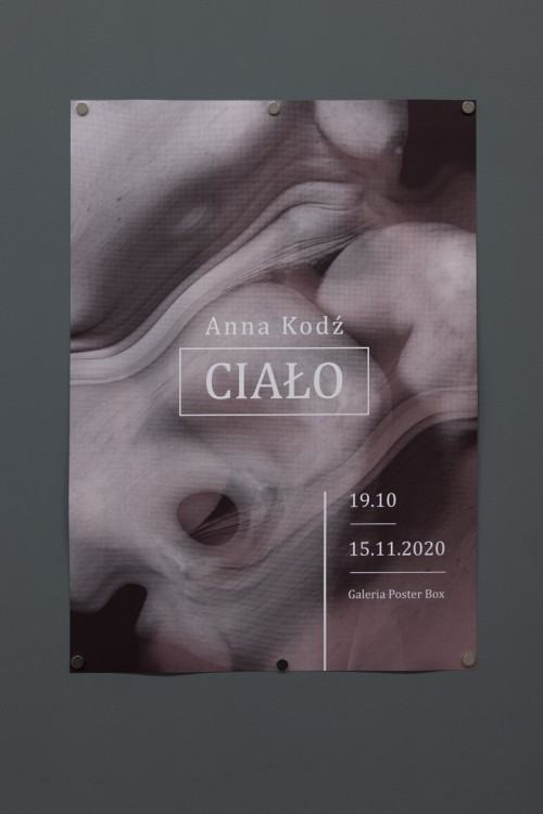 fot. Michał Pietrzak