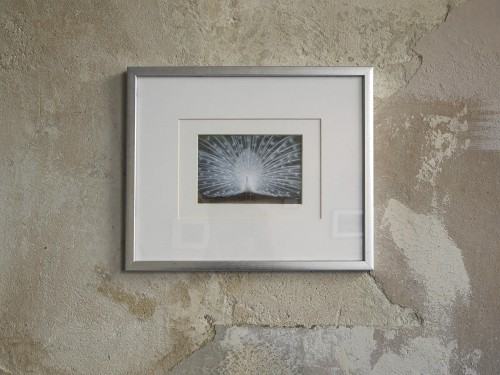 Anna Kołodziejczyk: z cyklu Perfect black, 2010