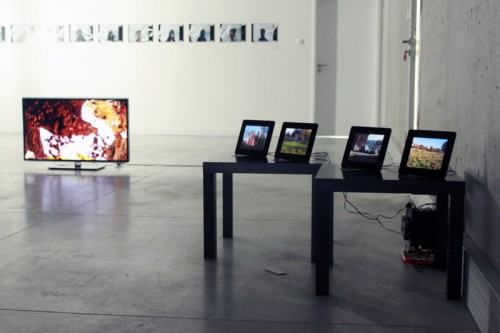 62667823.jpg fot. Aleksandra Bełz-Rajtak