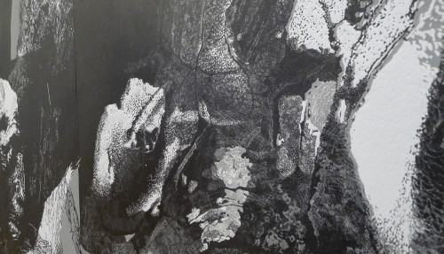 Dyplomy z Grafiki Warsztatowej Sylwia Suchanek