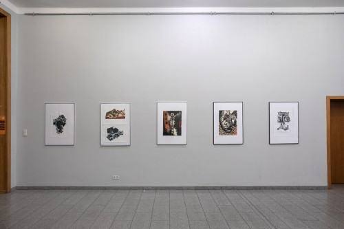 fot. Michał Pietrzak